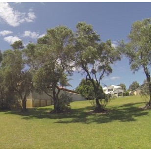 Arbuckle Reserve