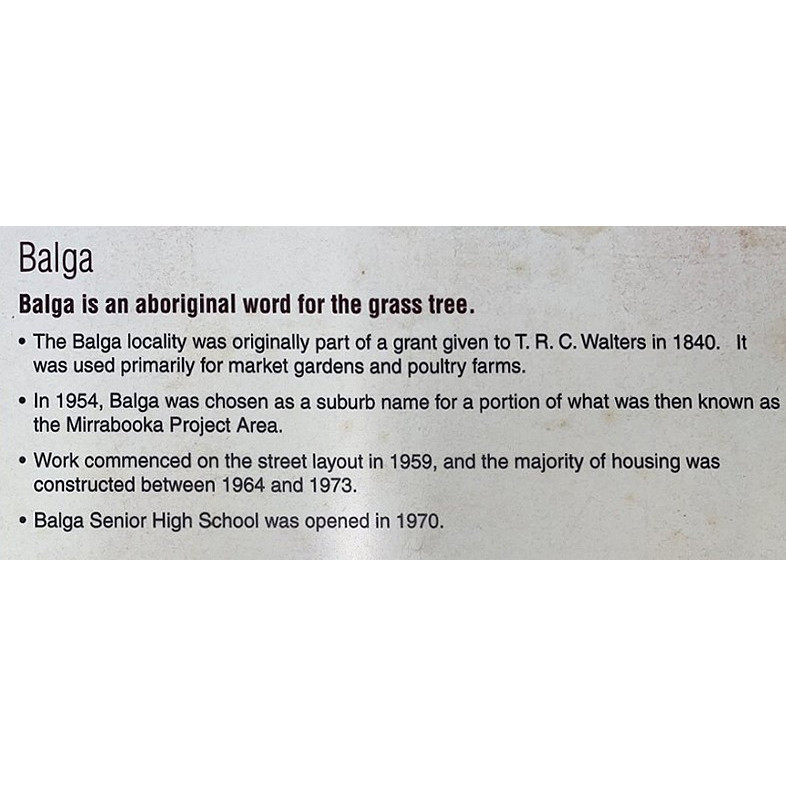 Balga
