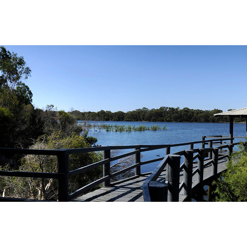 Lake Gwelup
