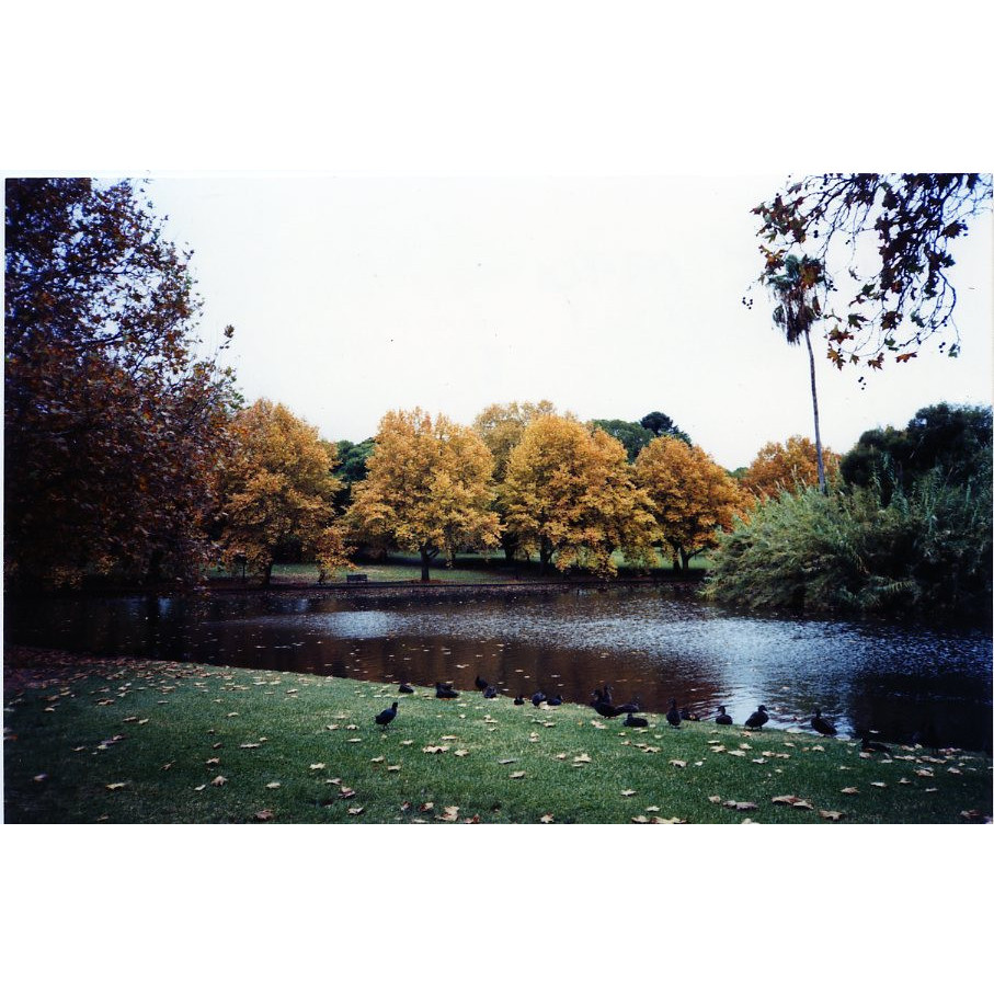 Little Carine Swamp