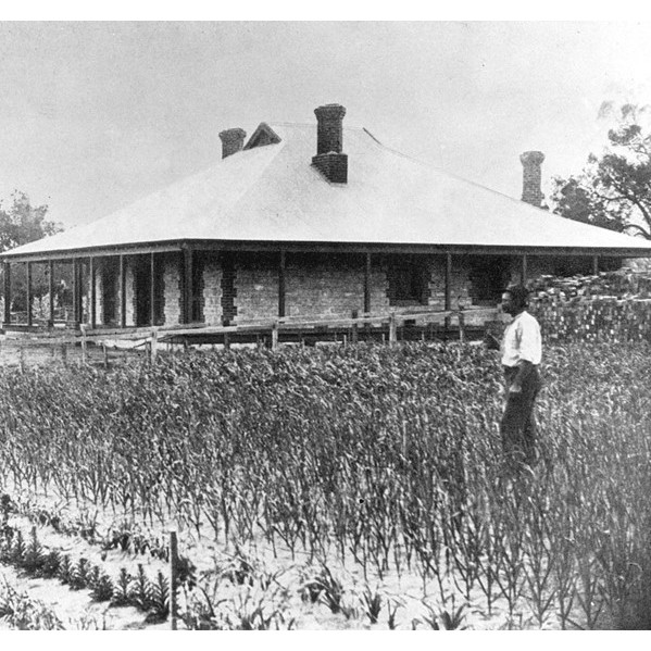 Arbuckle family collection