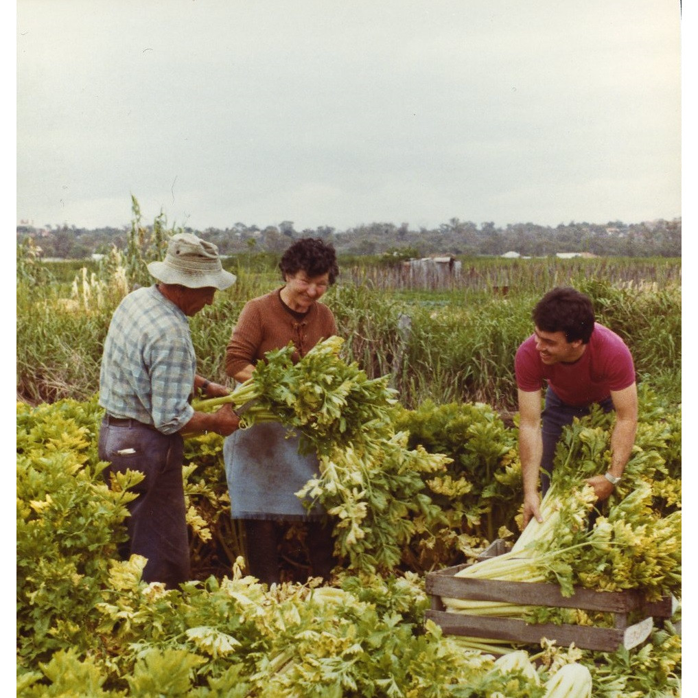 Market gardens collection