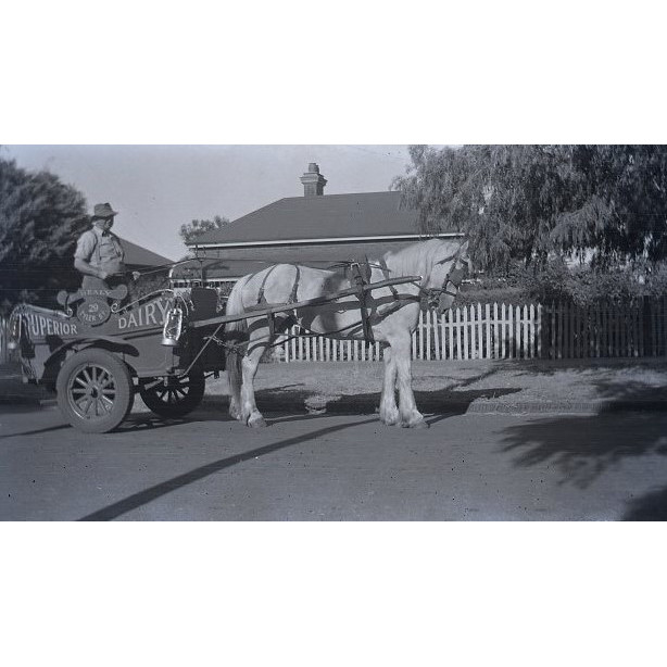 Superior Dairy collection