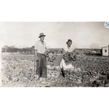 Vlatko-Rulo family collection 