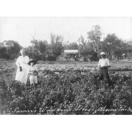 Woodbine Cottage market garden in Osborne Park