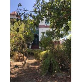 View towards Windsor Hall from garden