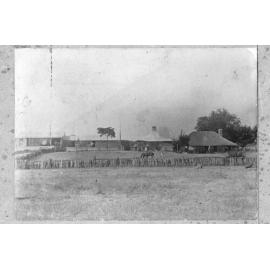 Wannerie Farm on the Moore River flats