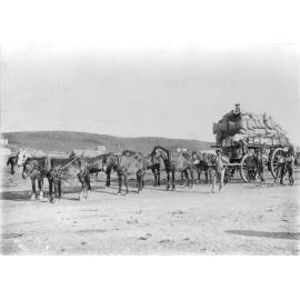 Walter Eamer's horse train at Nannine