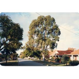 View of Hillview Road, Mount Lawley