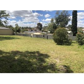 Reserve with trees planted by Alan Maddox's mother 