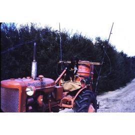 Tractor parked on the Arbuckle market garden in Gwelup