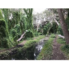 The Secret Garden in Gwelup in 2019