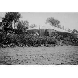 The Schultz children outside the family home in Balcatta 