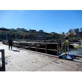 Inland view from North Beach Jetty