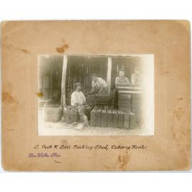 T. Cook and Sons packing shed