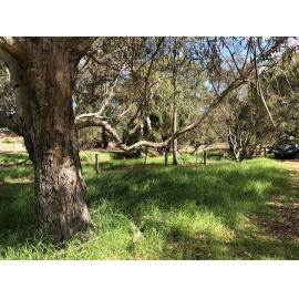 Settlers Cottage at Herdsman Lake taken from the outside