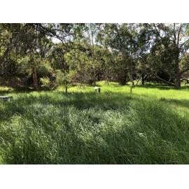 Settlers Cottage at Herdsman Lake rear of cottage looking towards memorial plaque of Vicky Groves
