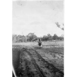 Planting a new tree on our property located on Victoria Road Balga c1950