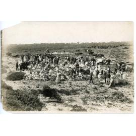 Osborne Park residents attend a picnic in Scarborough