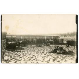 James O'Malley's cow sheds