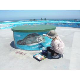 Mount Flora Museum rooftop with Anne-Marie Pelusey repainting her mural