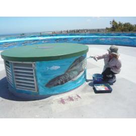 Mount Flora Museum - lookout mural - Anne-Marie Pelusey repainting lookout in 2013 - painting centre piece photograph 2