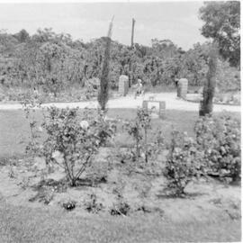 Maddox family front gate and rose garden at the Balga property