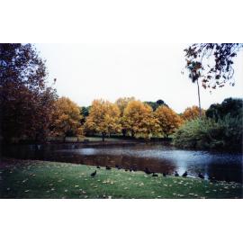 Little Carine Swamp in 1992
