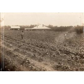 Jim Arbuckle on the Arbuckle family property 