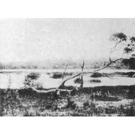 Jackadder Lake in Woodlands c1900
