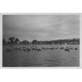 Jackadder Lake looking south west with service station