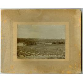 J.M. Okely's property on Big Carine Lake 