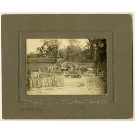 J.M. Okely's Carine Grange Dairy, Big Carine Lake 