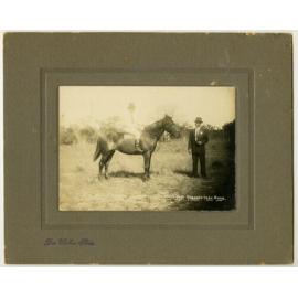 J.M. Okely on Jessie, winner of Dairyman's Trot in the Osborne Park show