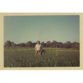 Iole Poli standing in her family's market garden on Pearson Street in Woodlands in 1968