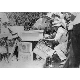 Harman Willoughby Lance with bee hives