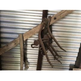 Horse equipment in the stable tack room 