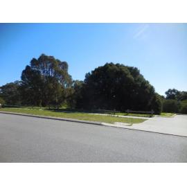 Herb Elliott Reserve with road in foreground