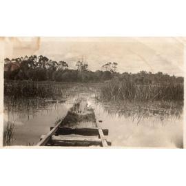 Market garden trolley tracks heading into Gwelup Lake 