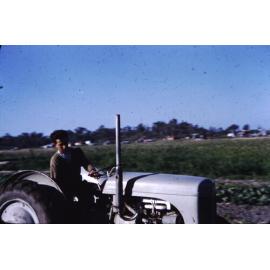 George Stergiou on a tractor on the Stergiou market garden in Gwelup