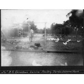 Eureka poultry farm in Osborne Park c1919