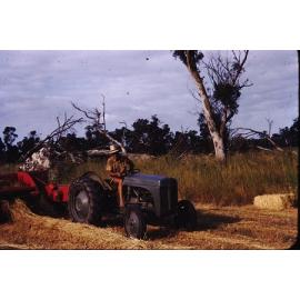 Don Arbuckle bailing hay on the Arbuckle market garden in Gwelup