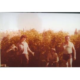 Morning tea break at D'Ercole market garden