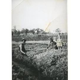 The d'Ercole family in the vegetable garden