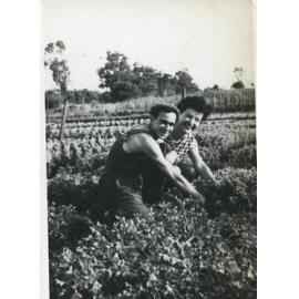 Elvira and Mario D'Ercole in the family market garden