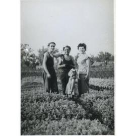 Four members of the D'Ercole family in their market garden