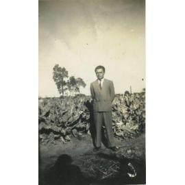 Pasquale D'Ercole standing in front of cauliflowers