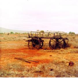 Camel wagon in the Murchison District
