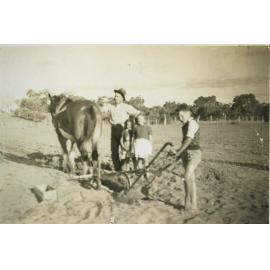 Bojanich family with horse and plough