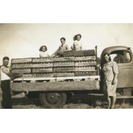 Bojanich family by truck with produce in crates